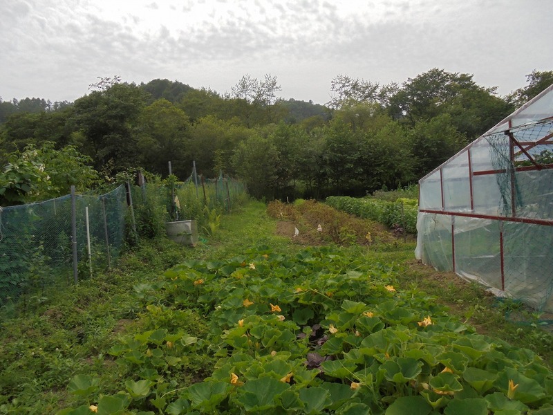 白糠町立庶路学園